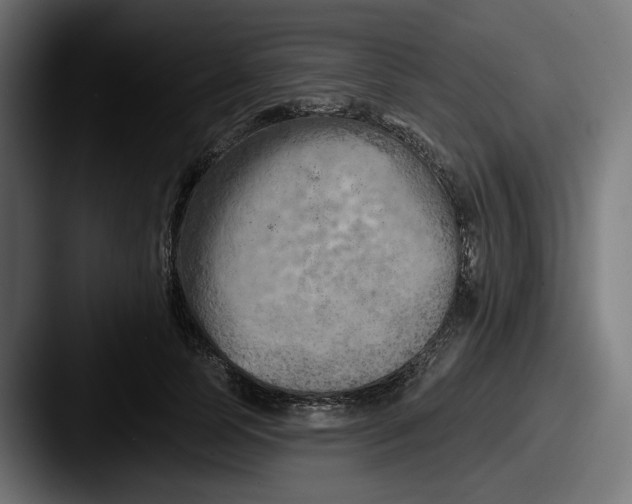 X0000087530745200705181030