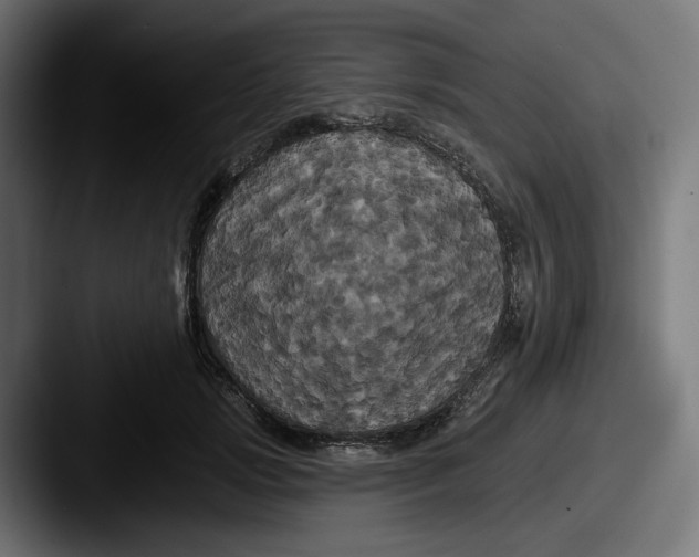 X0000087530749200705181030