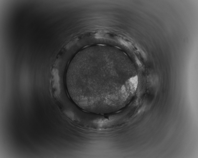 X0000087530750200705181030