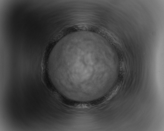 X0000087530751200705181030