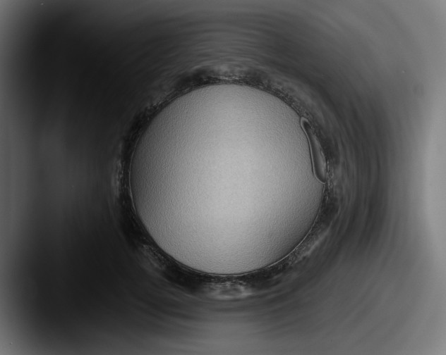 X0000087530752200705181030