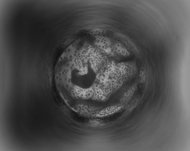 X0000087530753200705181030