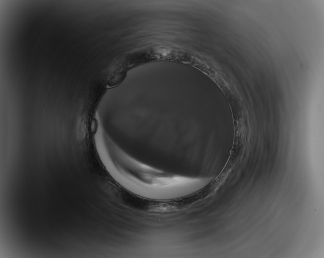 X0000087530754200705181030