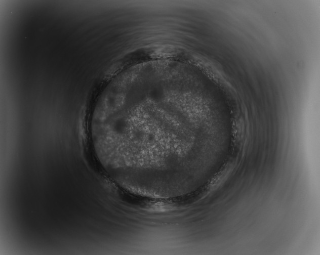 X0000087530755200705181030