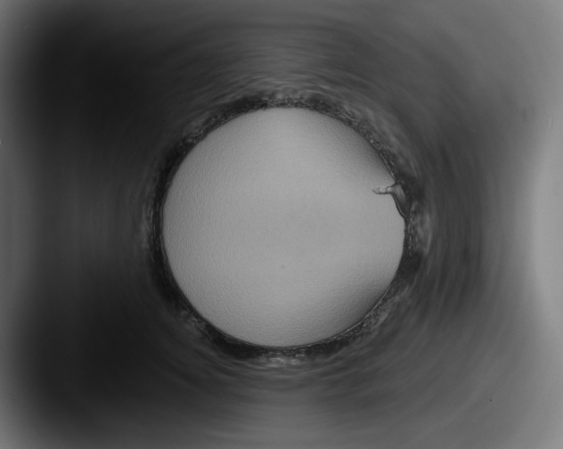 X0000087530756200705181030