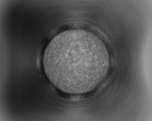 X0000087530757200705181030