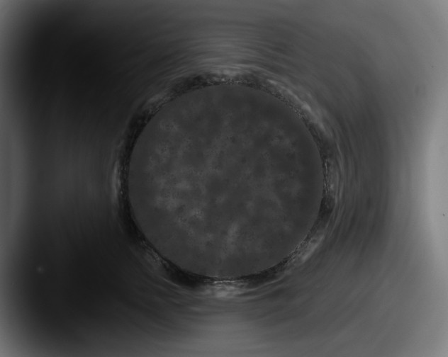 X0000087530758200705181030