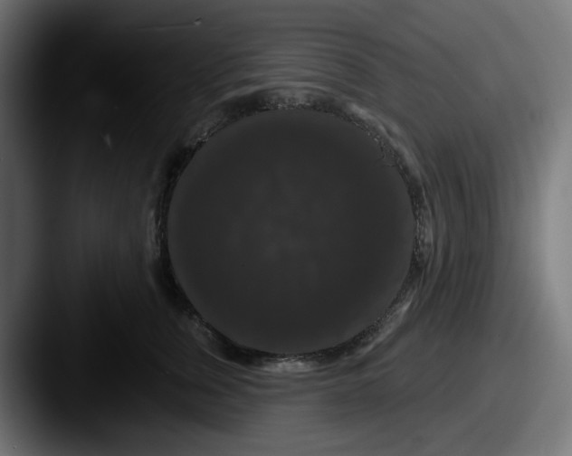 X0000087530759200705181030