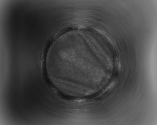 X0000087530760200705181030