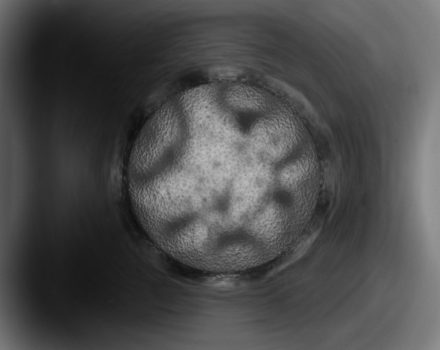 X0000087530761200705181030