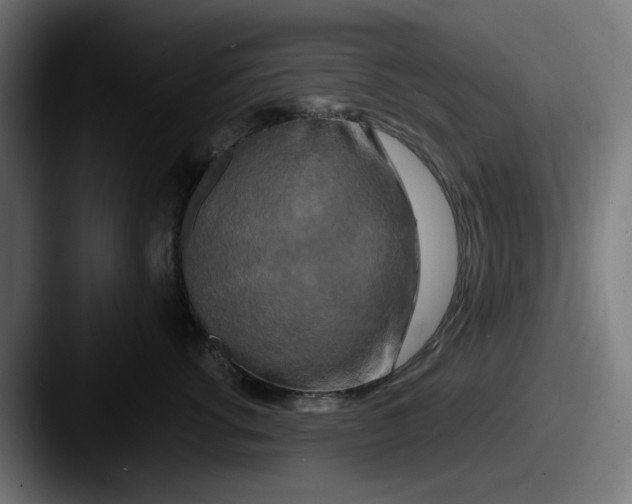 X0000087530762200705181030