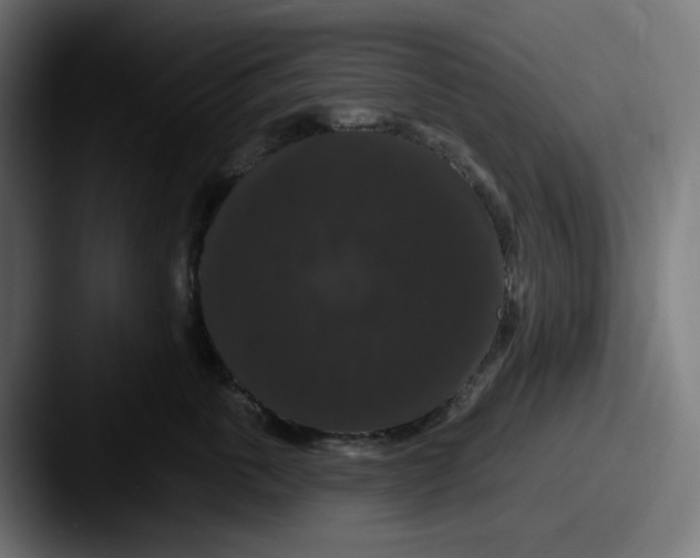 X0000087530763200705181030