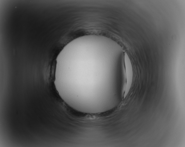 X0000087530764200705181030