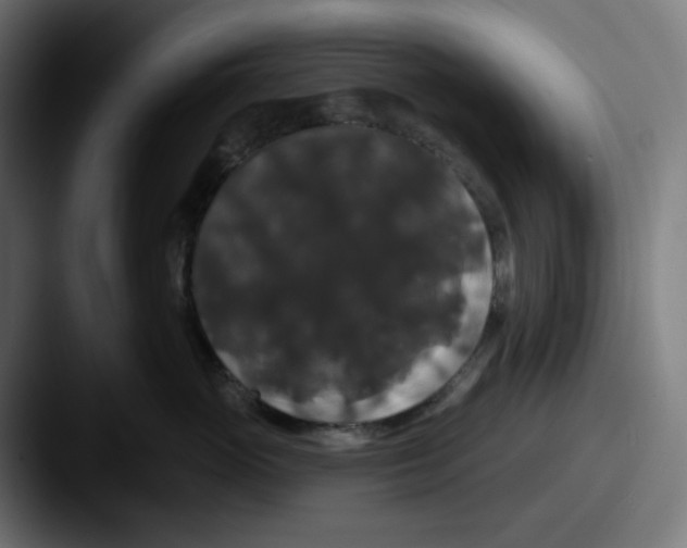 X0000087530765200705181030