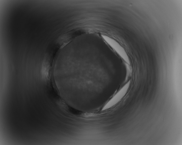 X0000087530766200705181030