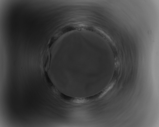 X0000087530767200705181030