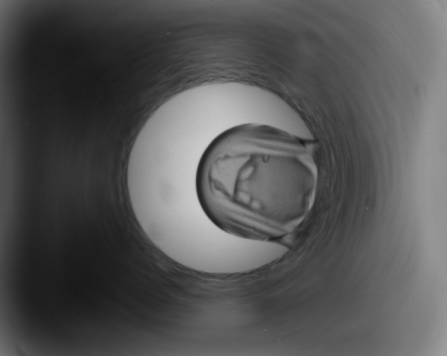 X0000087530768200705181030