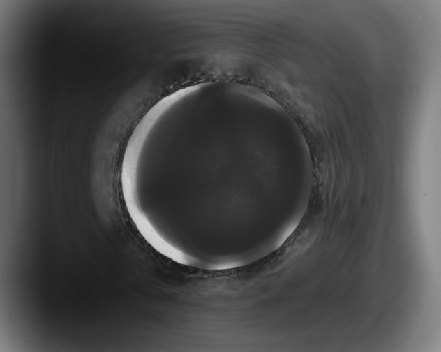 X0000087530769200705181030