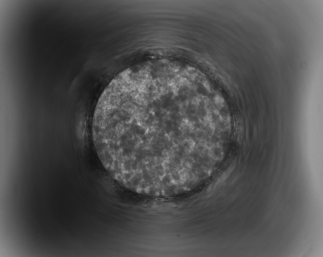 X0000087530770200705181030