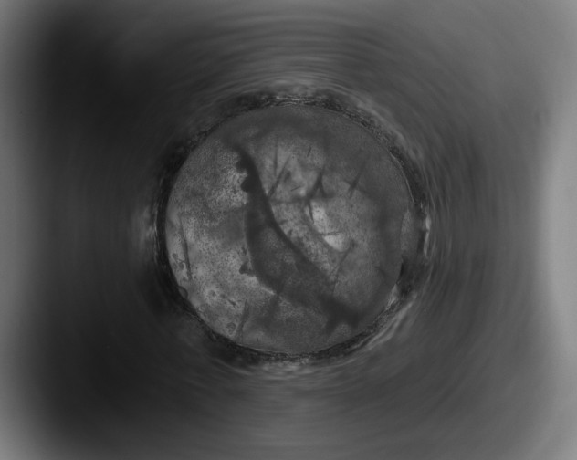 X0000087530771200705181030