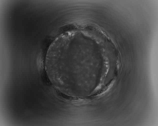 X0000087530772200705181030