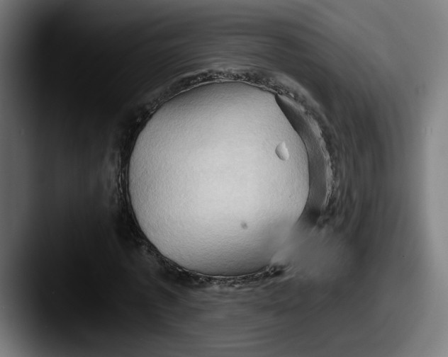 X0000087530773200705181030