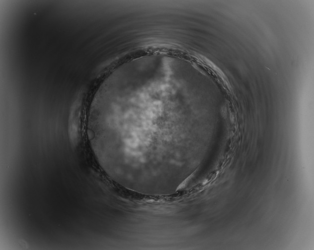 X0000087530775200705181030