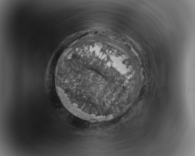 X0000087530776200705181030