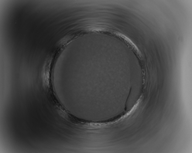 X0000087530777200705181030