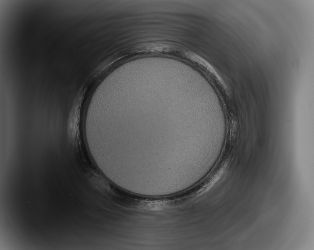 X0000087530778200705181030