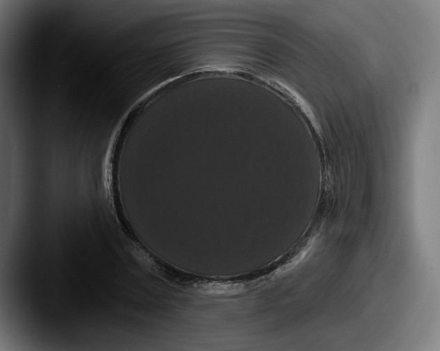 X0000087530779200705181030