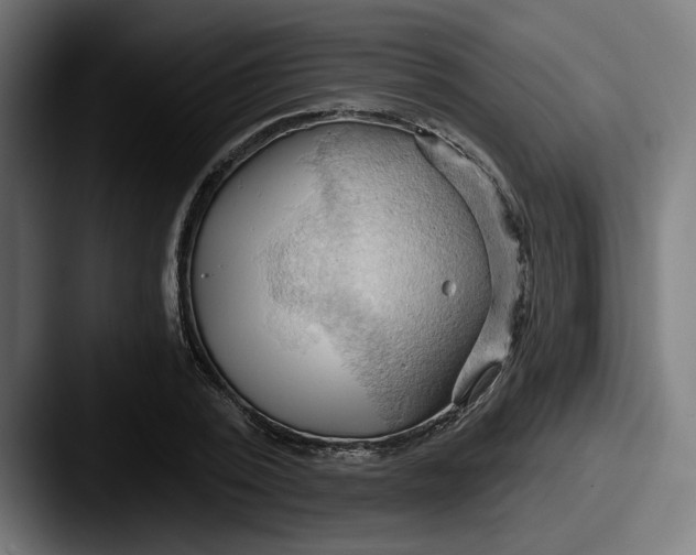 X0000087530784200705181030