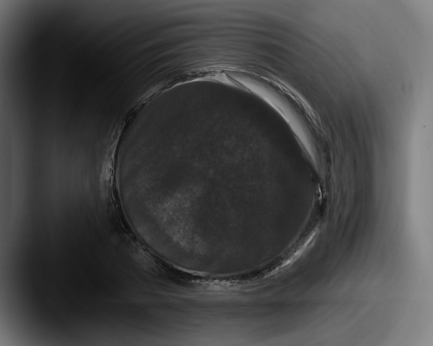 X0000087530785200705181030