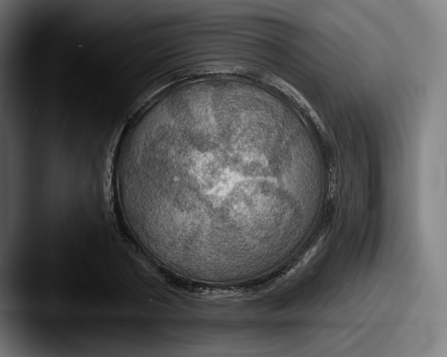 X0000087530786200705181030