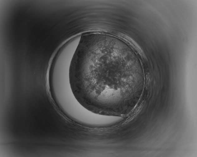 X0000087530788200705181030