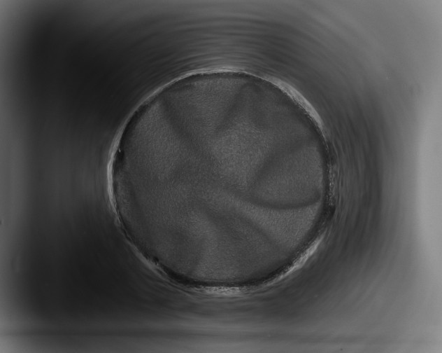 X0000087530789200705181030