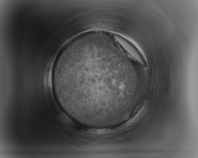 X0000087530791200705181030