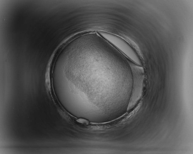 X0000087530792200705181029