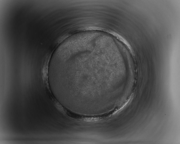 X0000087530793200705181029