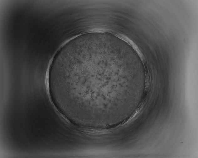 X0000087530795200705181029