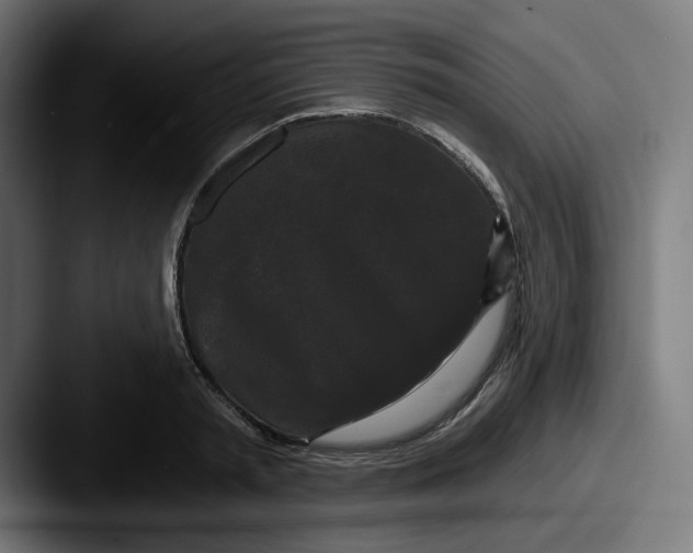 X0000087530797200705181029