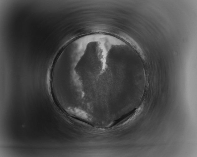 X0000087530798200705181029