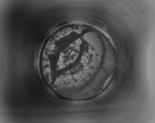 X0000087530799200705181029