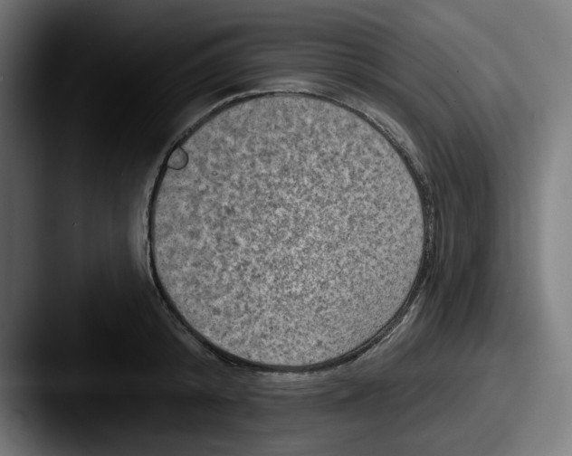 X0000087530800200705181029