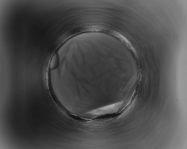 X0000087530802200705181029