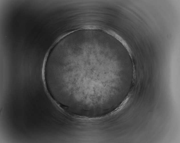 X0000087530803200705181029