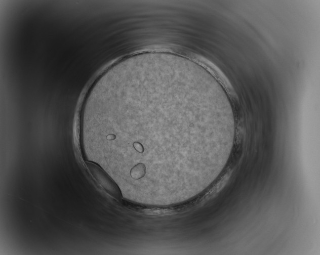 X0000087530804200705181029