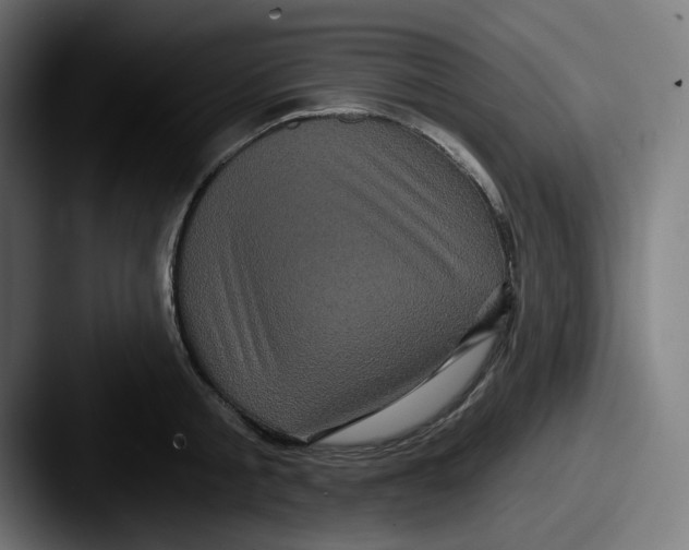 X0000087530805200705181029