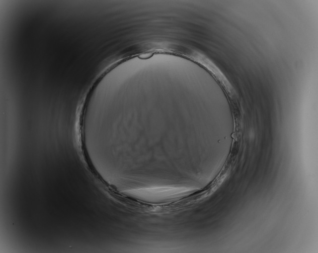 X0000087530806200705181029