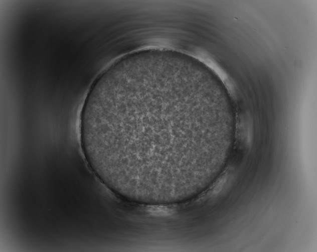 X0000087530807200705181029